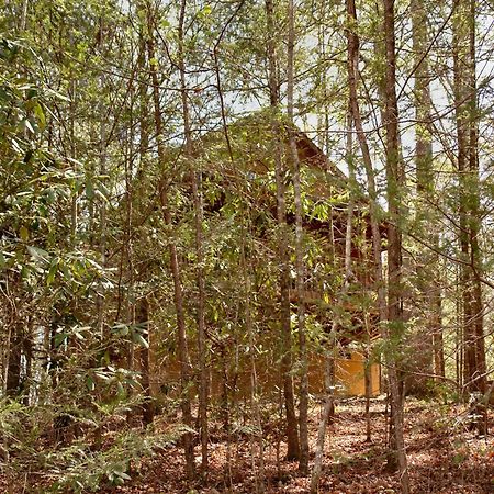Mountain Hideaway #338 Villa แกตลิงเบิร์ก ภายนอก รูปภาพ