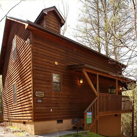 Mountain Hideaway #338 Villa แกตลิงเบิร์ก ภายนอก รูปภาพ
