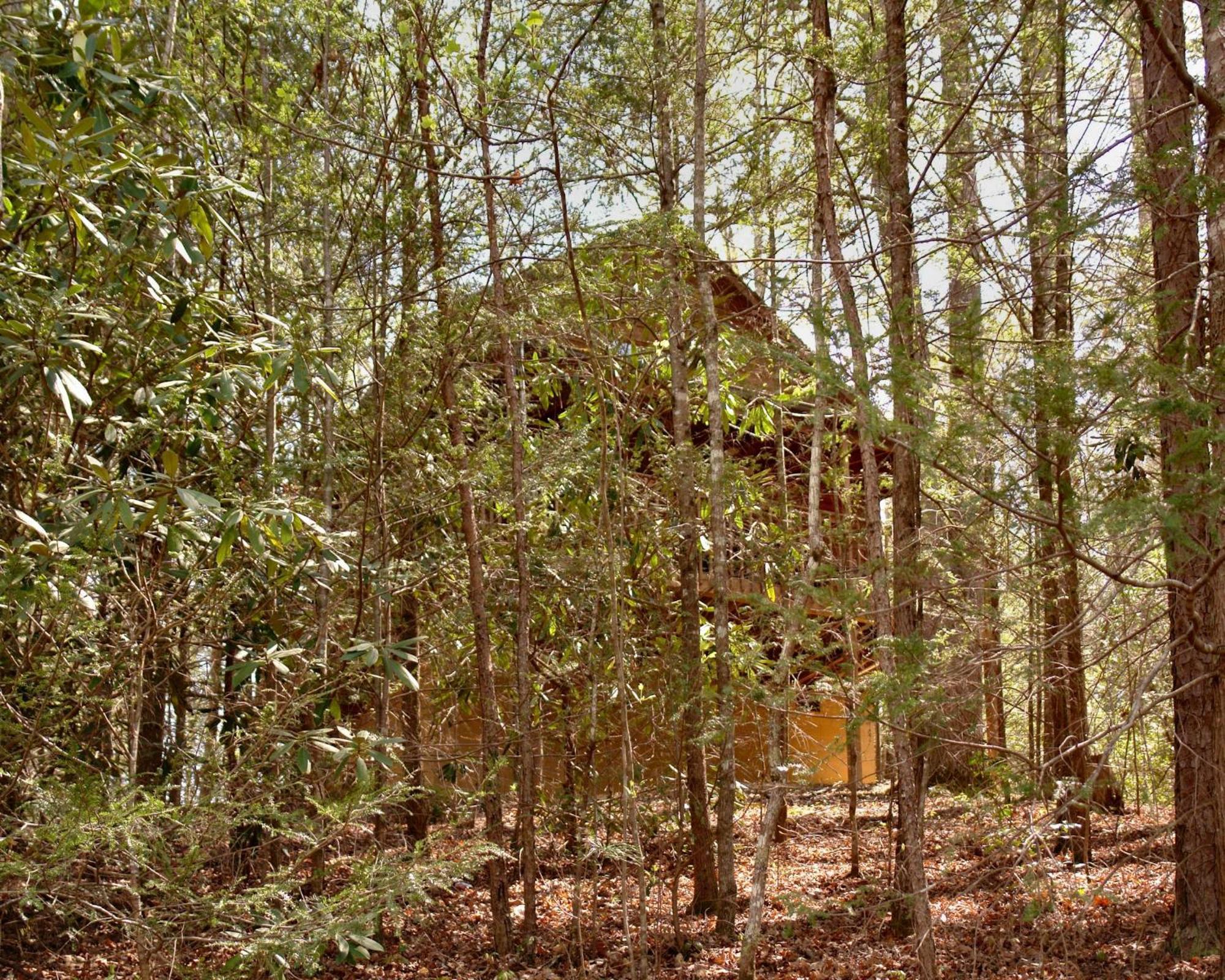 Mountain Hideaway #338 Villa แกตลิงเบิร์ก ภายนอก รูปภาพ